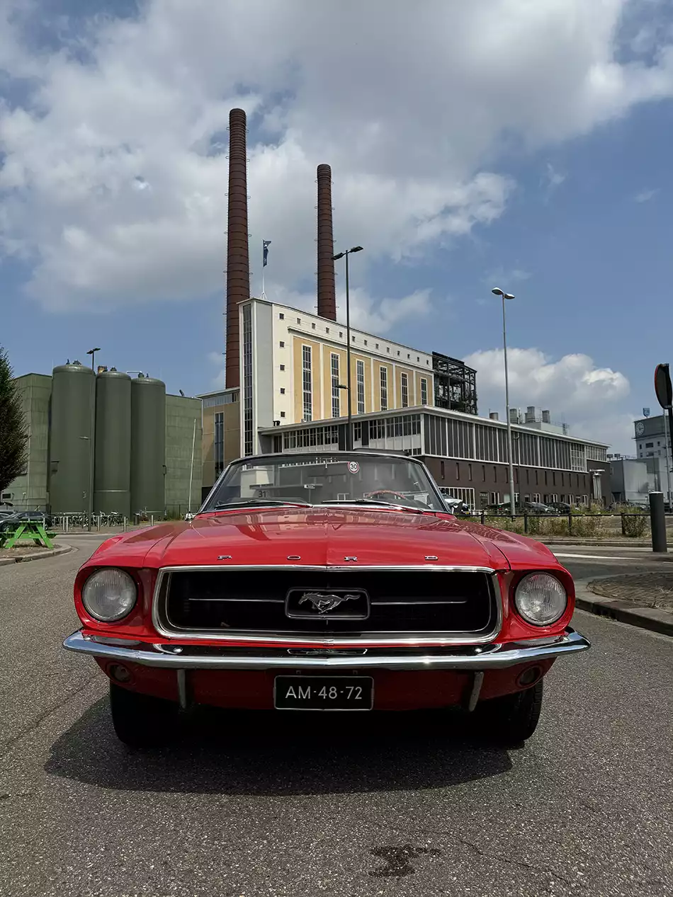 Ford Mustang 289 Cabrio Rood 2