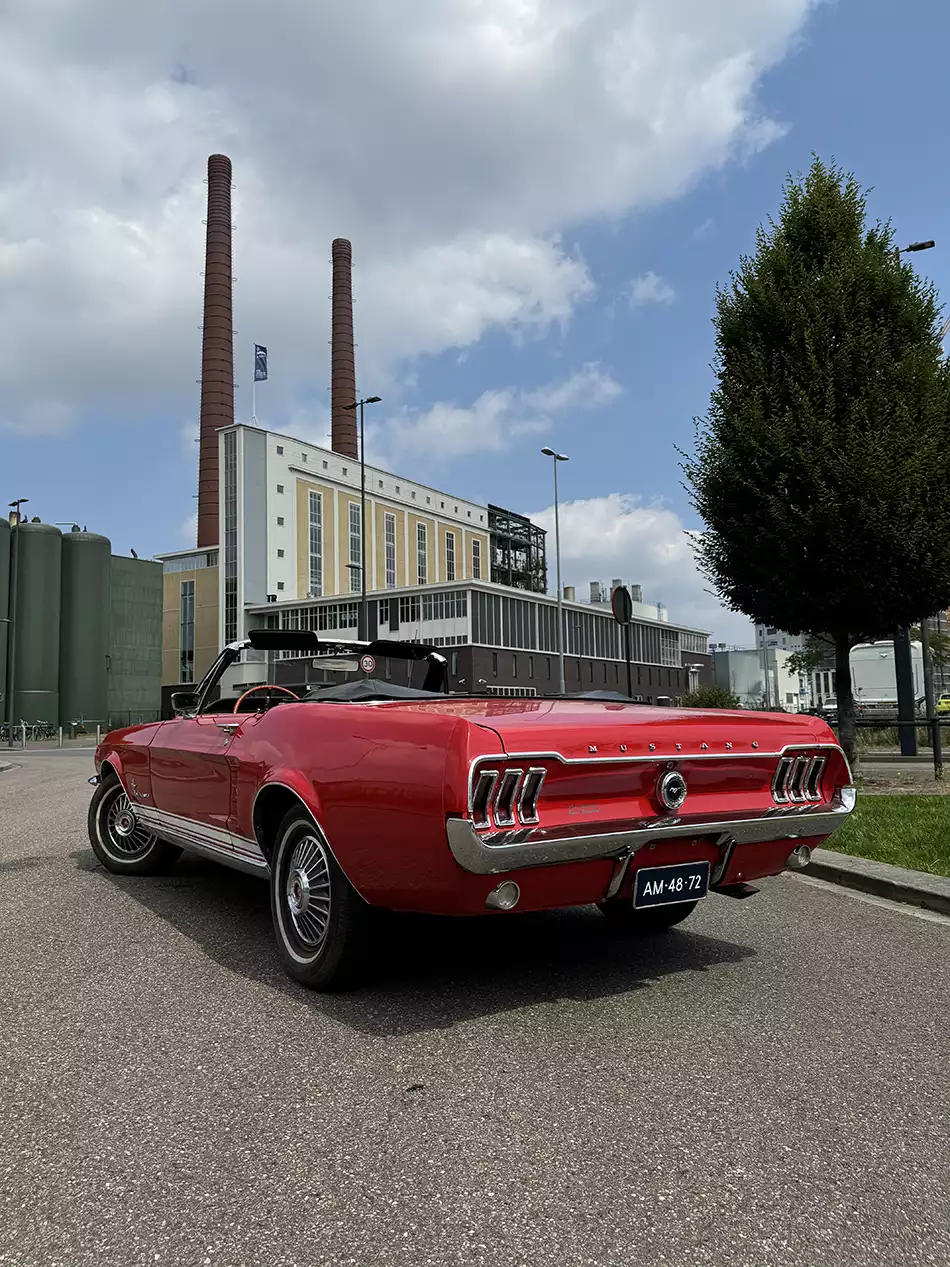 Ford Mustang 289 Cabrio Rood 3