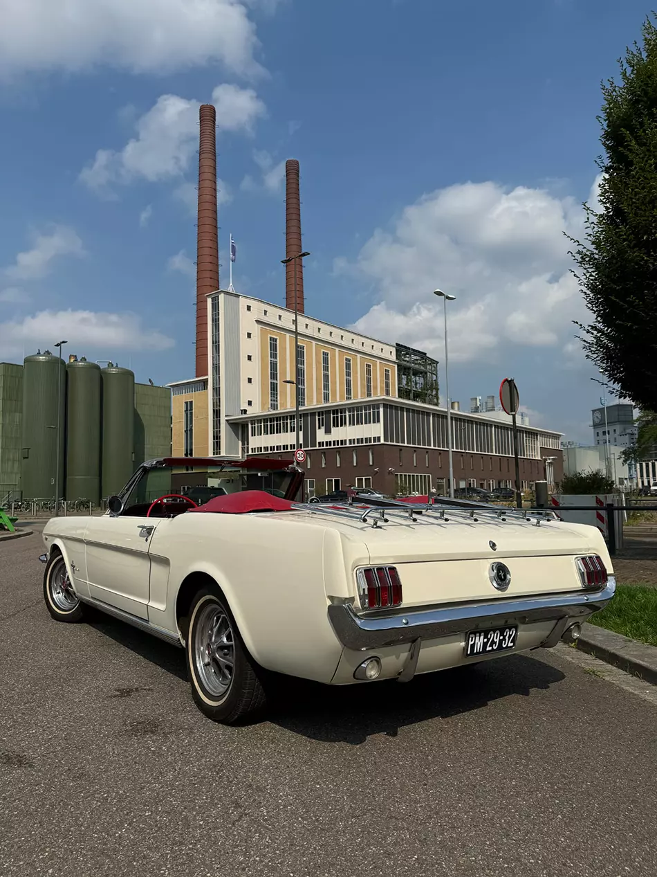 Mustang-Cabrio-Back