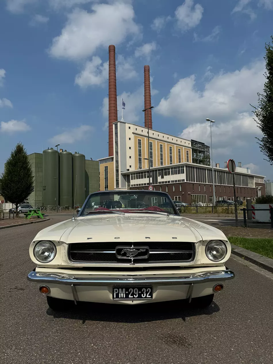 Mustang-Cabrio-Front